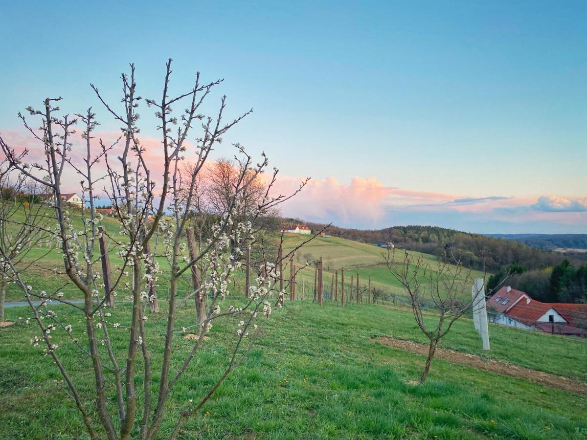 Landhaus Schaller Im Suedburgenland Maria Bild Zewnętrze zdjęcie